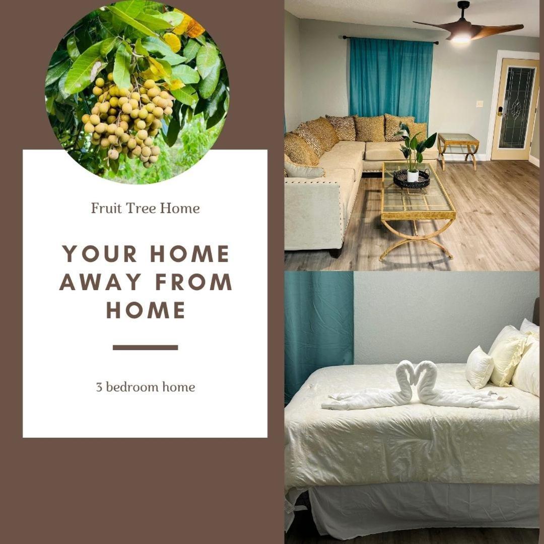 3Bdrm Fruit Tree Home Near Downtown Орландо Екстериор снимка
